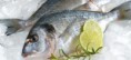 Boas razões para comer peixe